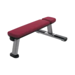 Bancă orizontală Life Fitness