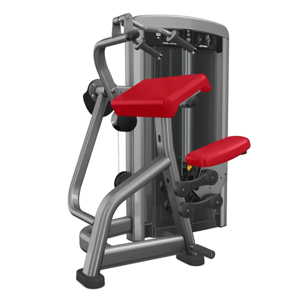 254-79-insignia-series-triceps-extension Aparat pentru extensia tricepsului din seria Insignia - imagine 1