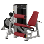 Aparat combinat pentru flexia și extensia picioarelor din șezut din seria Axiom